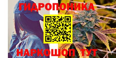 ГАЛЛЮЦИНОГЕННЫЕ ГРИБЫ Донской