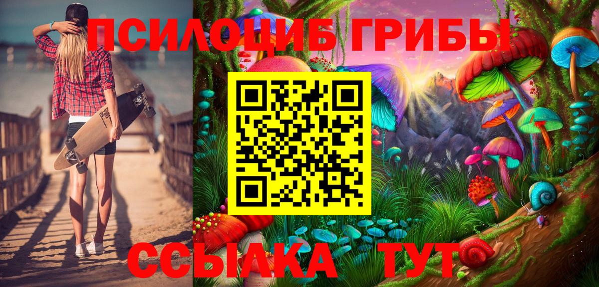 Галлюциногенные грибы Psilocybe  Вход с VPN  Новокуйбышевск 