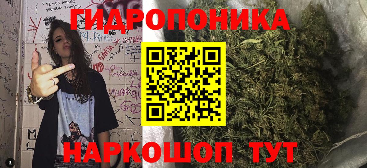 Канабис Amnesia Новокуйбышевск